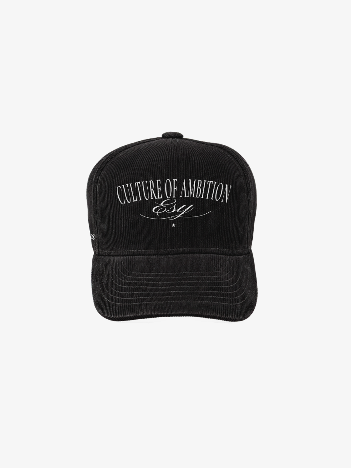 Culture Of Ambition Pana
