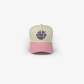 Gorra Béisbol* All we need is money Pnk