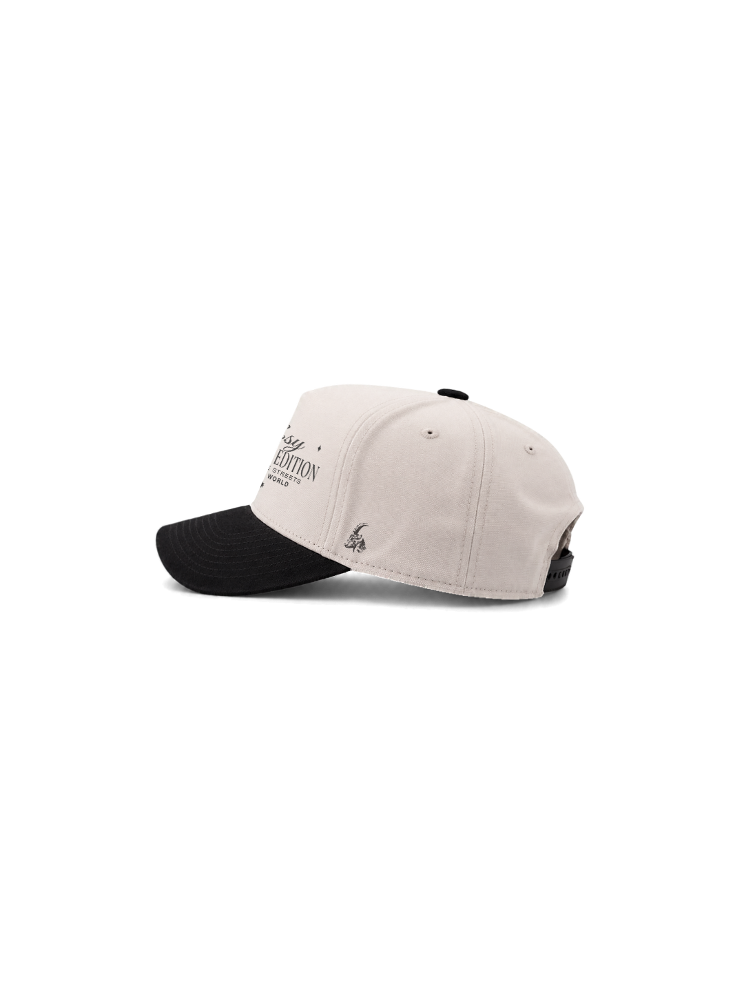 Limited Edition | Gorra Trucker
